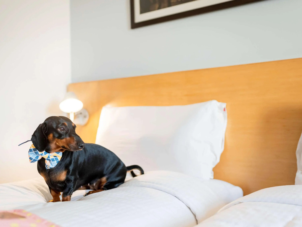 Hotel Image Gallery