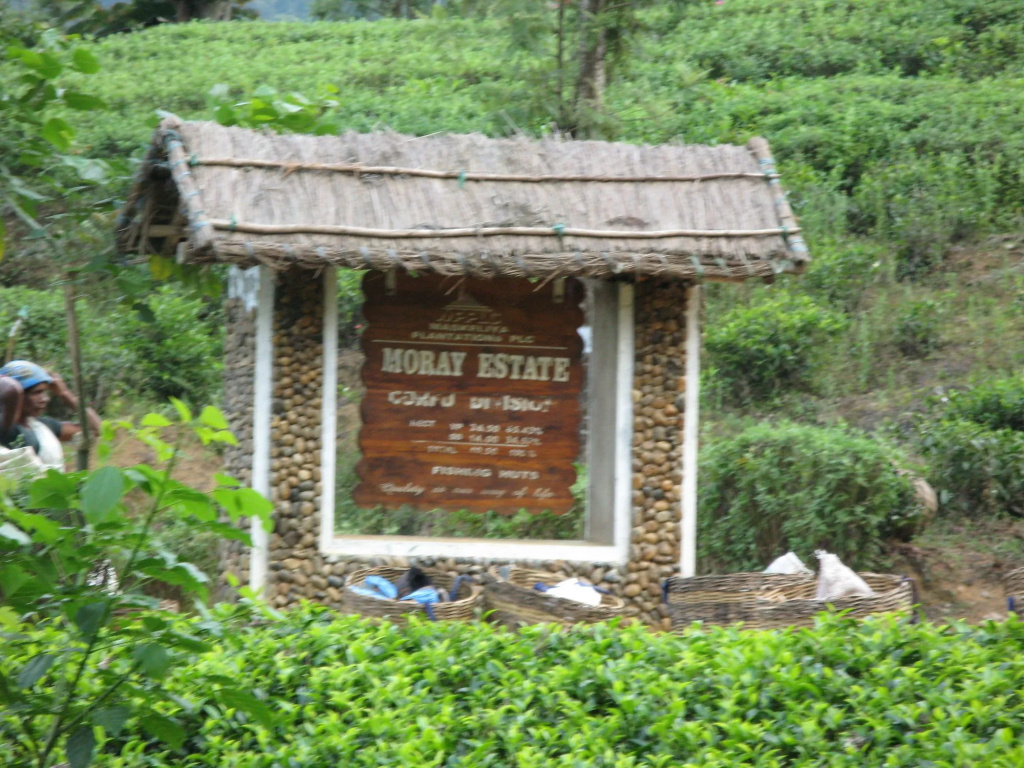 Hotel Image Gallery